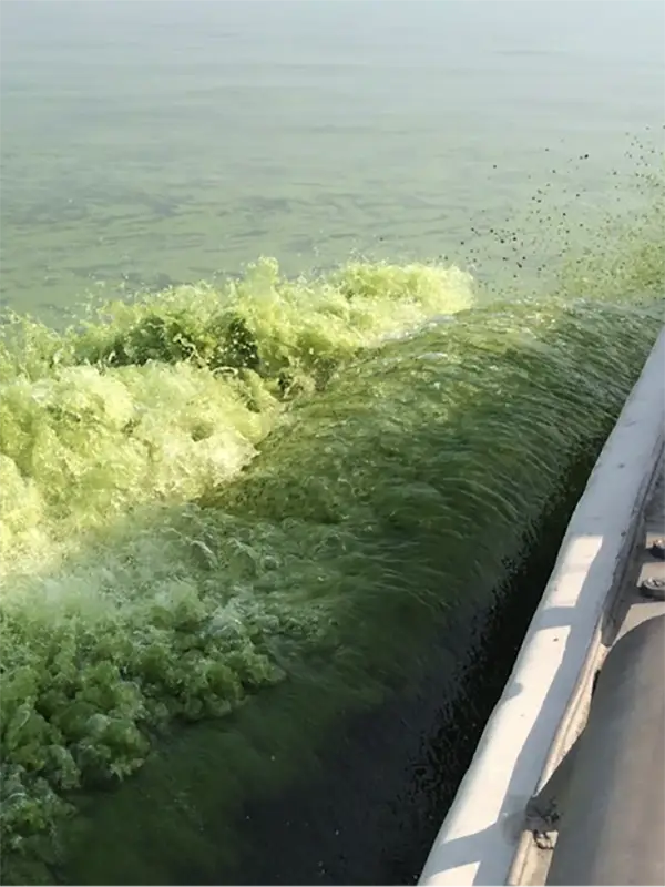 Green waves coming off of a boat