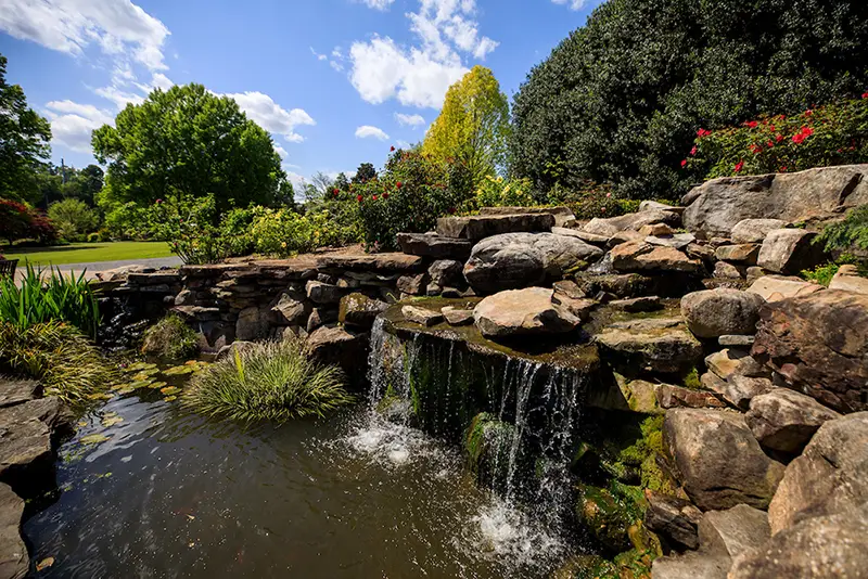 Water falls from mini waterfall into a pond.